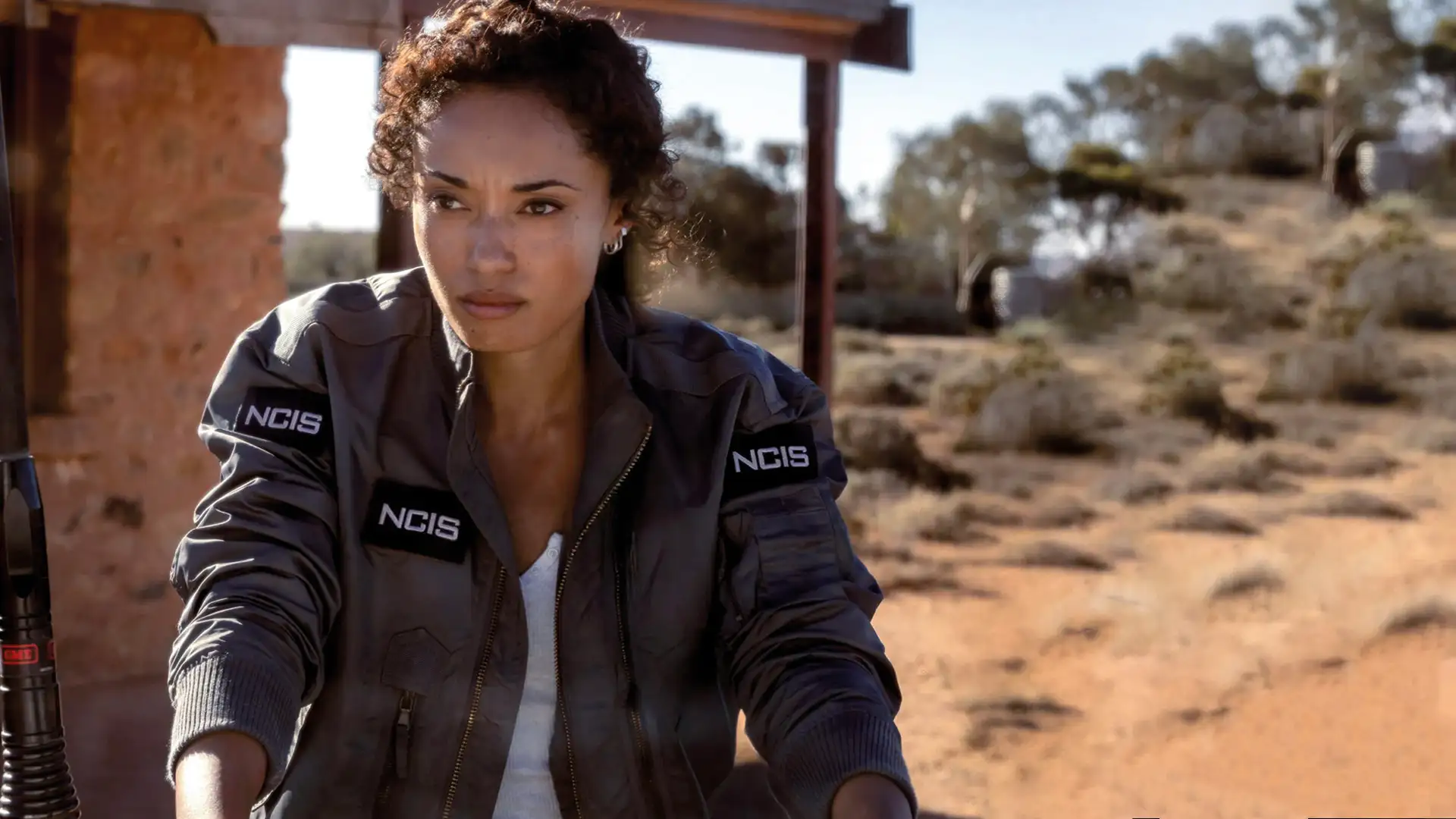 ان سی آی اس: سیدنی  (فصل 3 قسمت 4)